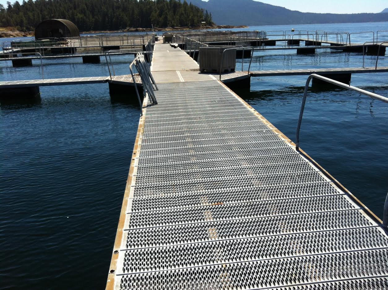 BC Shellfish Grower's Association to the BC Shellfish Grower