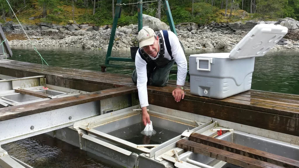 First generation of broodstock research seed hits the water – June 2017