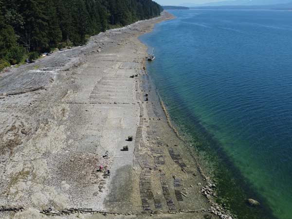 Advancing the sustainable growth and prosperity of the BC shellfish industry