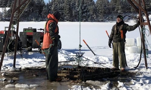 Harvesting Oysters in the Winter – PEI Style