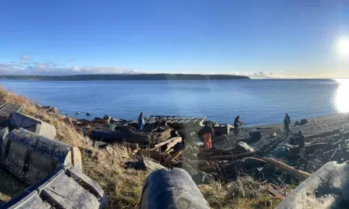 Campbell River Foreshore Clean-up (Dahl Road to the Maritime Heritage Centre)