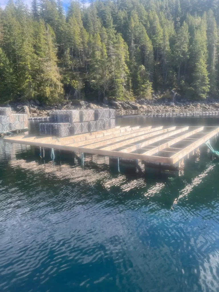 Surplus Shellfish Farming Equipment