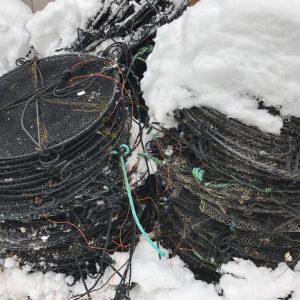 Lantern Nets for Sale