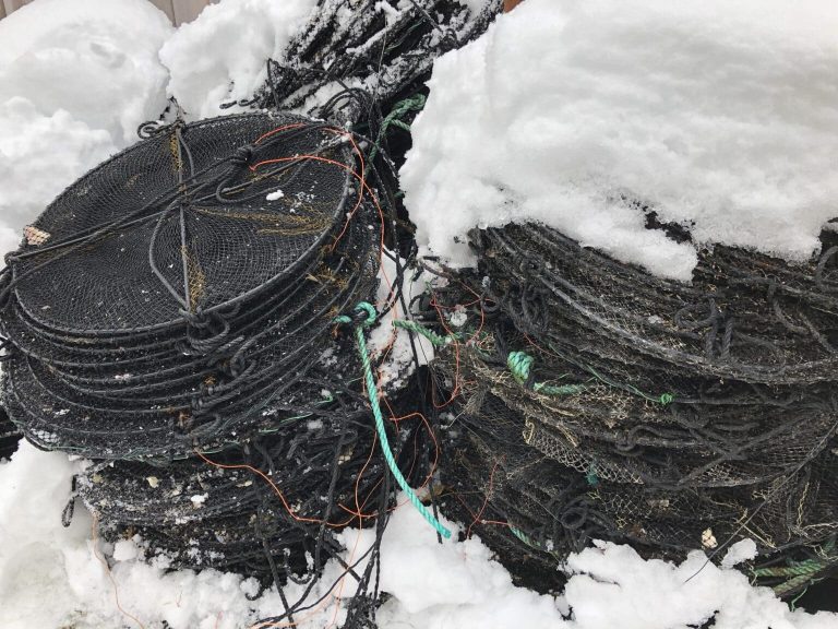 Lantern Nets for Sale