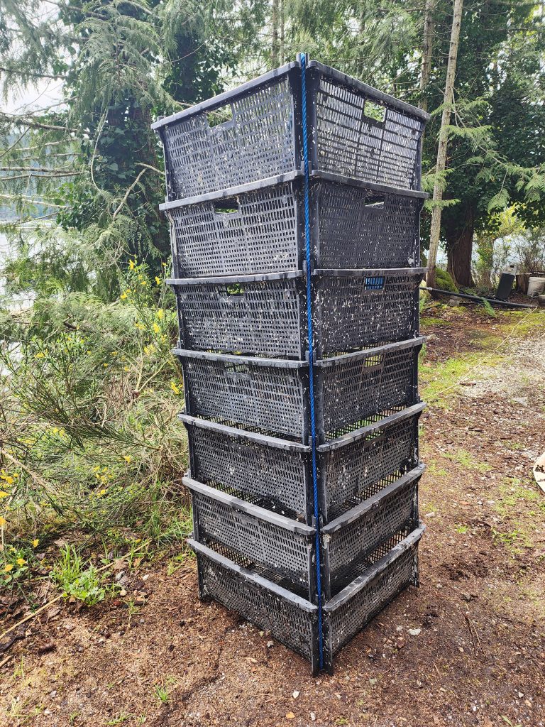 Oyster Trays and Pearl Nets