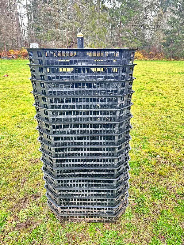 For Sale: Oyster Seed Trays – Great Deal