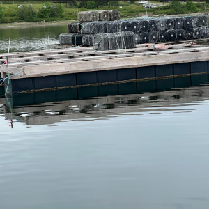 Rafts for Oyster Farming