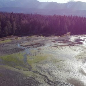 Exceptional Clam Farm for Sale