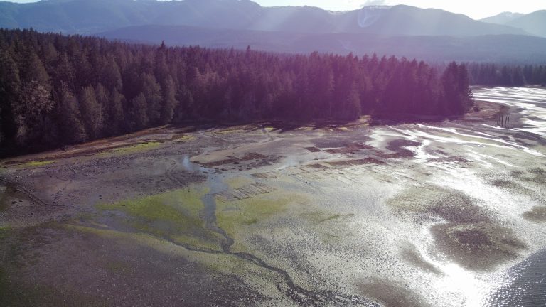 Exceptional Clam Farm for Sale