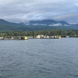 PARADISE OYSTERS IS FOR SALE – includes all you need, Oyster Farm, FLUPSY and Processing Plant