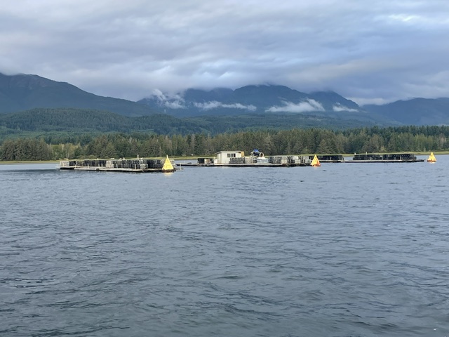 PARADISE OYSTERS IS FOR SALE – includes all you need, Oyster Farm, FLUPSY and Processing Plant